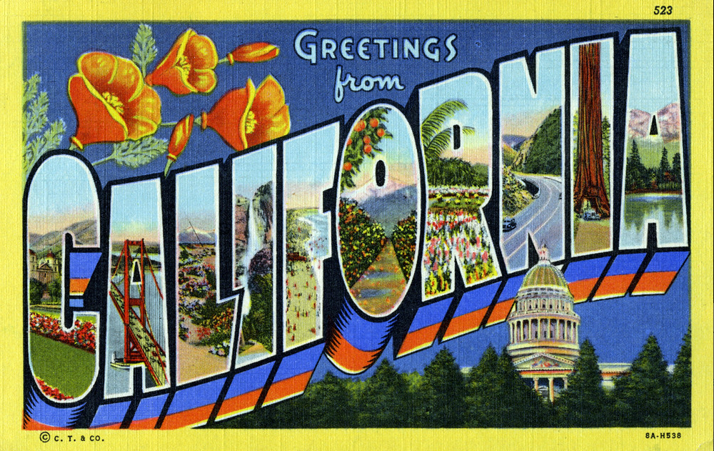 News from W.H.O. Roseville